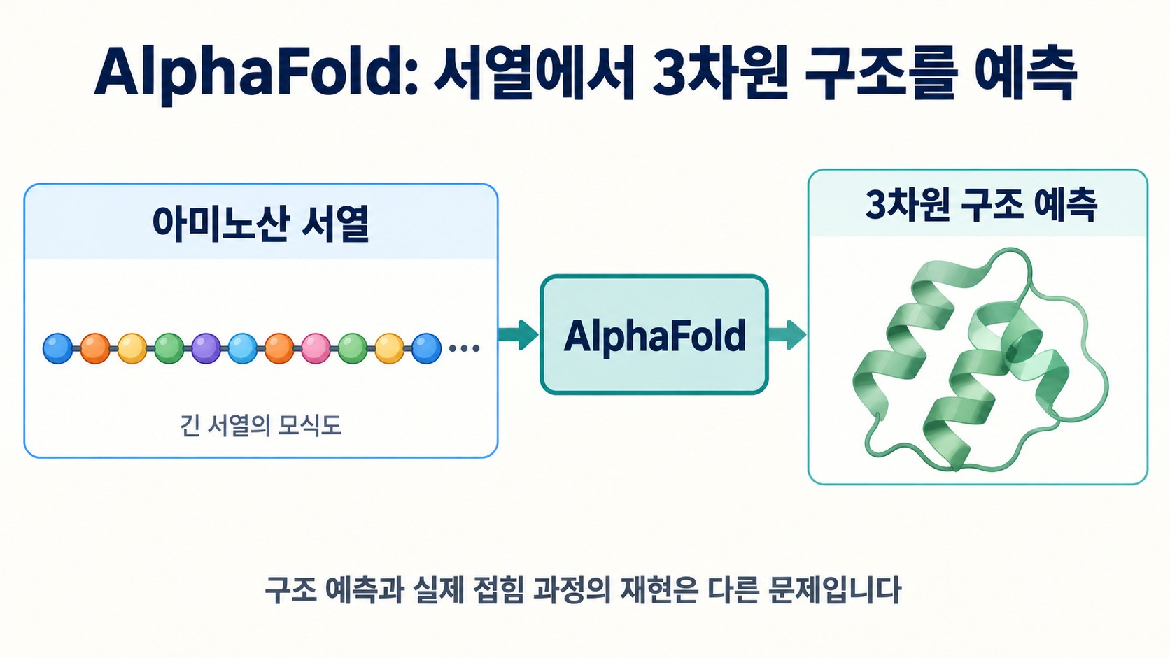 아미노산 서열을 입력하면 AlphaFold가 3차원 구조를 예측한다는 과정을 나타낸 도해