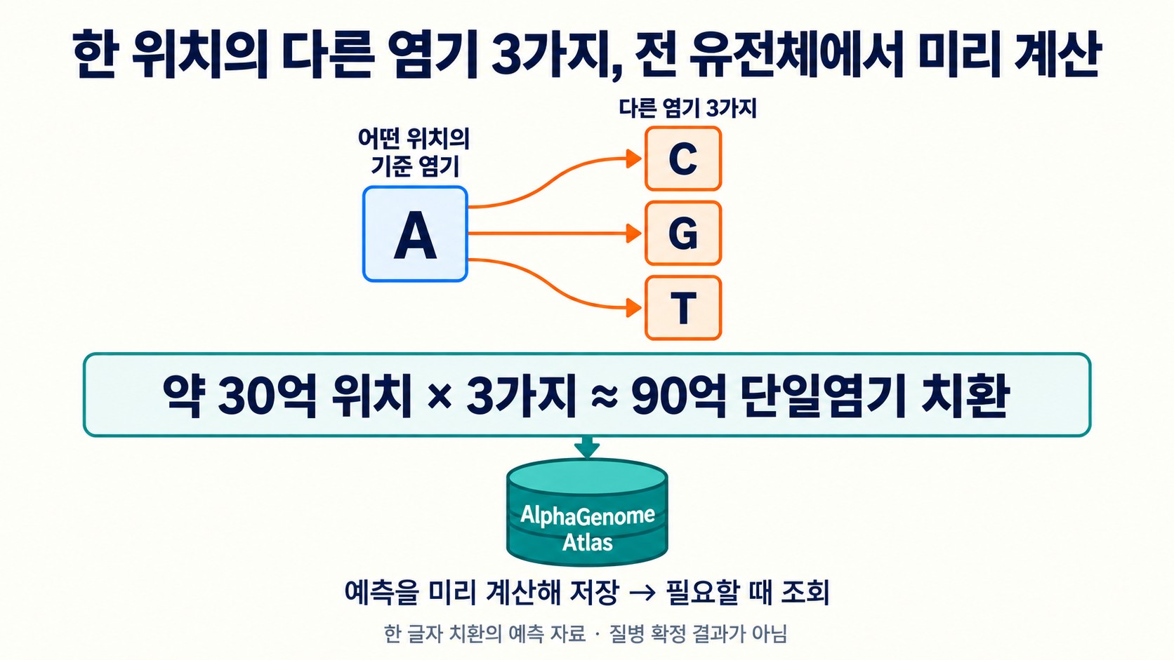 한 위치에서 가능한 다른 염기 3가지에 대한 예측을 미리 계산해 저장해 두고 필요할 때 조회한다는 AlphaGenome Atlas 도해