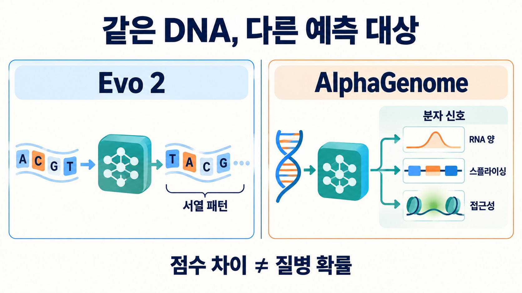 Evo 2는 서열 패턴을, AlphaGenome은 분자 신호를 예측한다는 차이를 두 칸으로 비교한 도해
