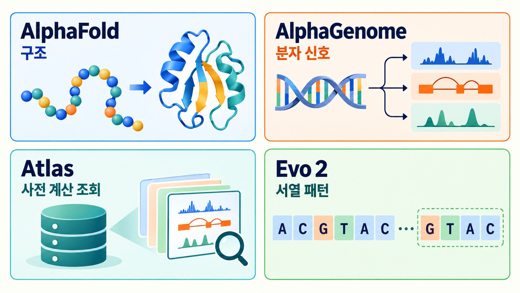 AlphaFold는 구조, AlphaGenome은 분자 신호, Atlas는 사전 계산 조회, Evo 2는 서열 패턴을 다룬다는 역할을 정리한 마무리 도해