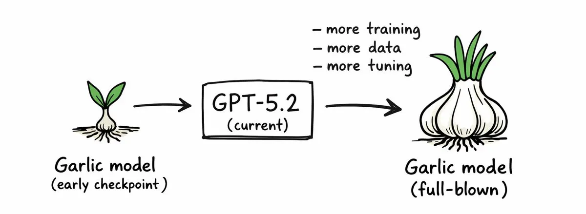손그림 다이어그램 — 어린 마늘 싹(Garlic model early checkpoint) → GPT-5.2 (current) → more training/more data/more tuning → 완전히 자란 마늘(Garlic model full-blown) 순서로 이어지는 모델 발전 단계 도식